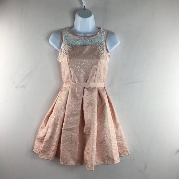 Blush By Us Angels A-Line Dress Pink Floral SZ 12